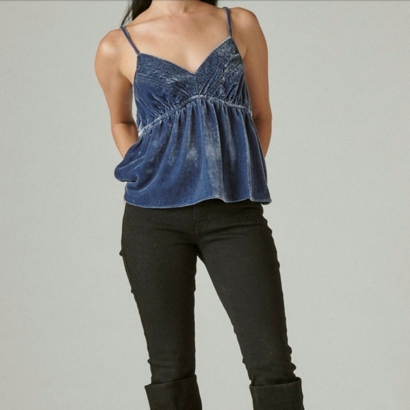 Lucky Brand Baby Doll Embroidered Velvet Sleeveless Top Blue Womens Size L - Picture 4 of 13